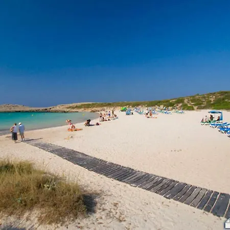 Sargantana Negra * Binibeca