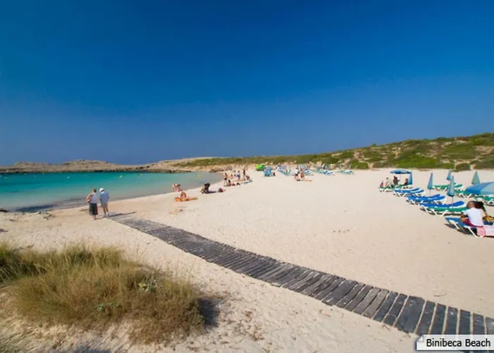 Sargantana Negra * Binibeca